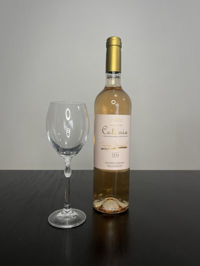 Touriga Nacional Rose 2024